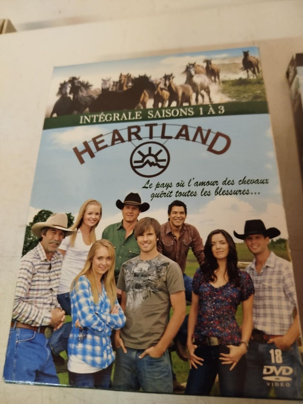 Tutti i DVDs: Dvd Heartland 1-8 – Usato da La Chaux-de-Fonds venduto da Emmaus2300CDF 1