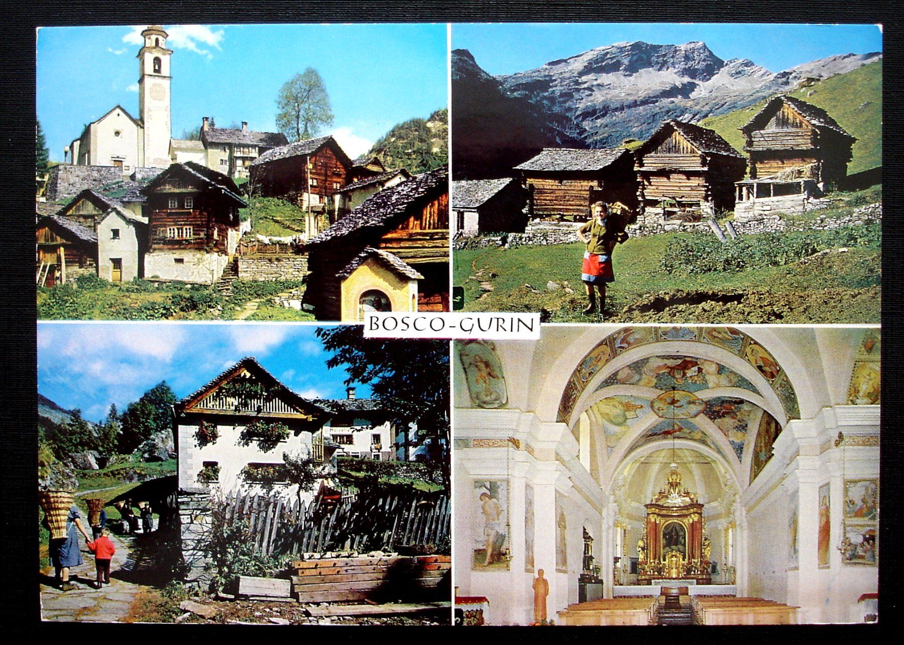 Cartoline postali: BOSCO-GURIN – Usato da Jona venduto da philajona