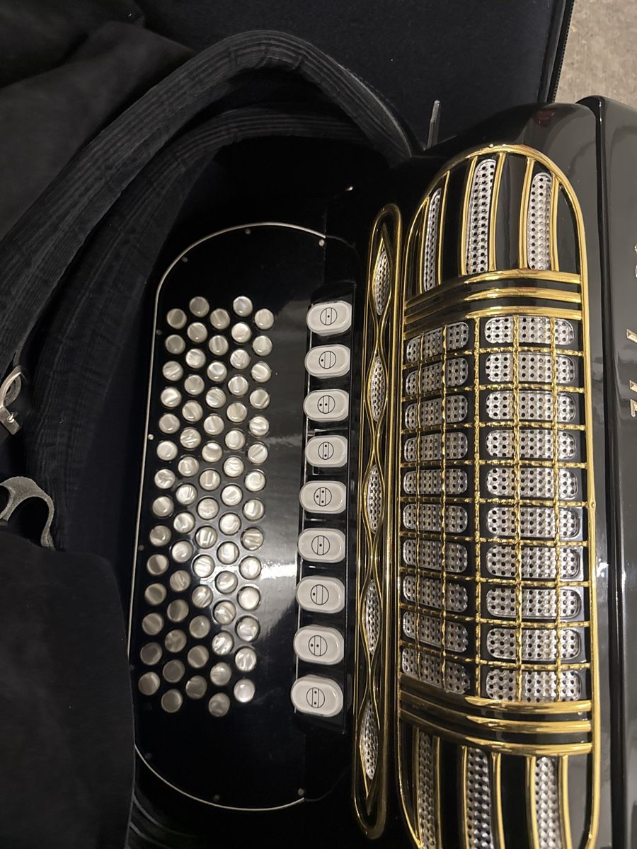 Hohner Strumenti musicali: Honer riviera 3 – Usato da Strengelbach venduto da HeidiHeidi09 1