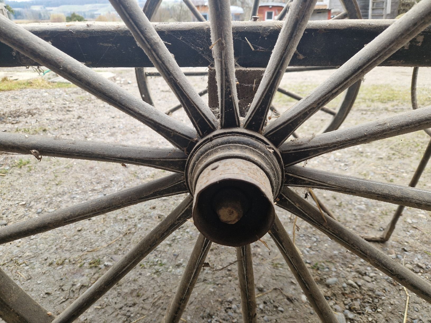 Carrozze: Einachs Wagen mit Holzräder – Usato da Thalheim venduto da lae_5ck9 2