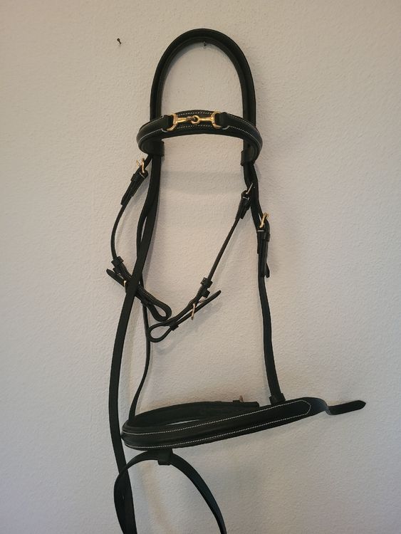 Neuer Leder Zaum WB reiten Pferd | Kaufen auf Ricardo