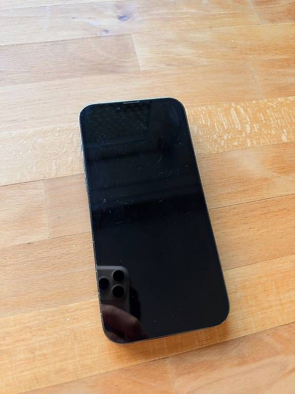 Portables: iPhone 13 Pro Max , 256 GB – D'occasion à Zürich par max_j8tw 1