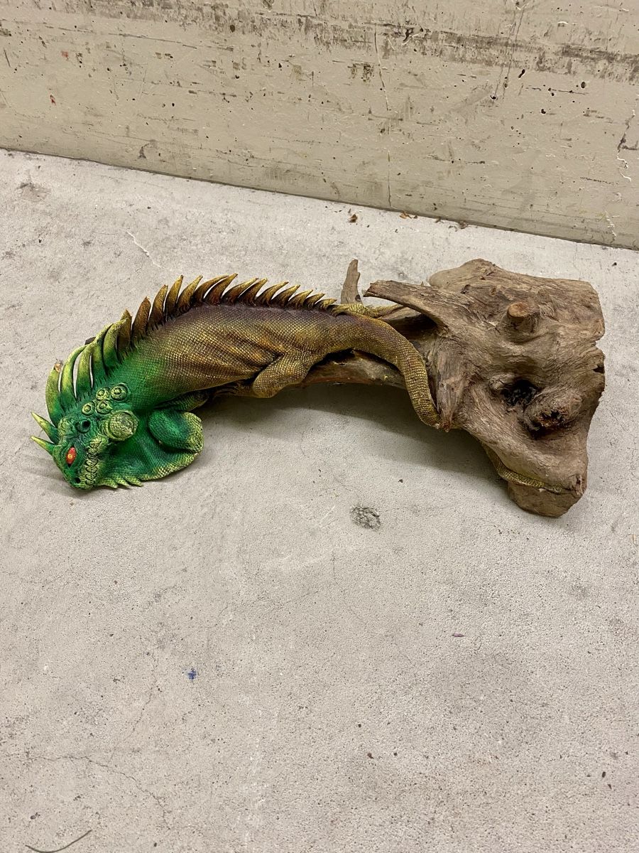 Skulpturen & Statuen: Leguan auf Treibholz – Gebraucht aus Rickenbach ZH von Der-Insider 6
