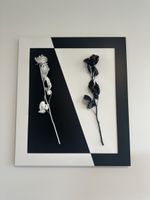 Wandbild mit zwei Rosen schwarz weiss gerahmt neuwertig