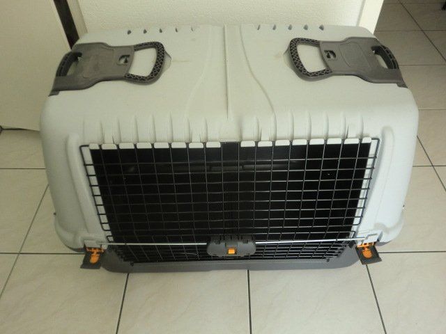 Cages, transport & sécurité: Hundetransportbox – D'occasion à Läufelfingen par Alaskafroegi