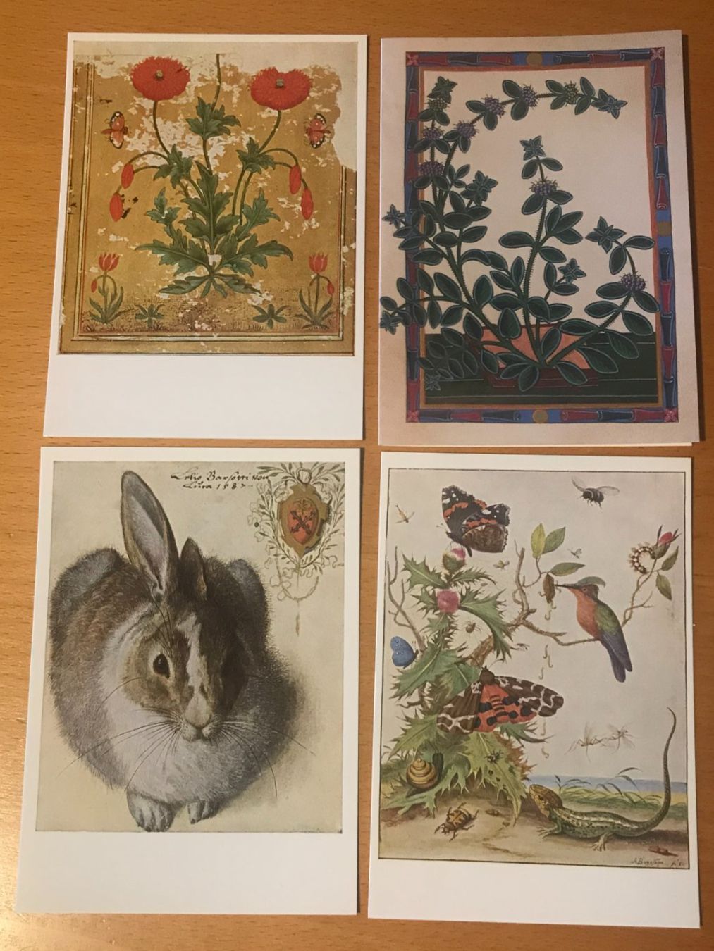 Cartoline postali: 4x Postkarten Naturmotive – Usato da Luzern venduto da mey_s13