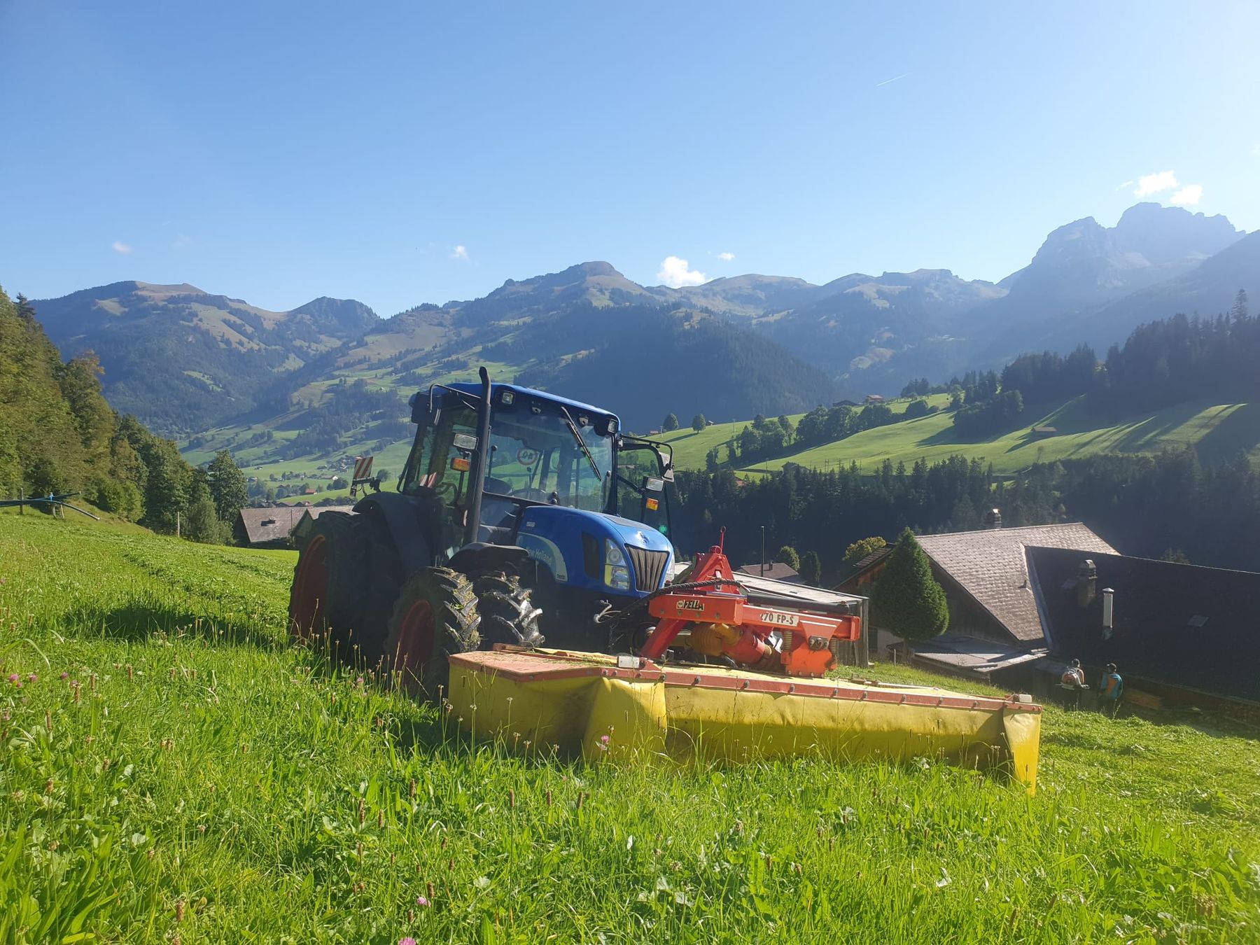 Toutes les machines: Mähwerk Fella – D'occasion à zweisimmen par reformmuli01