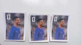 Panini Sammelbilder Coca Cola William Saliba Preis Pro Stück