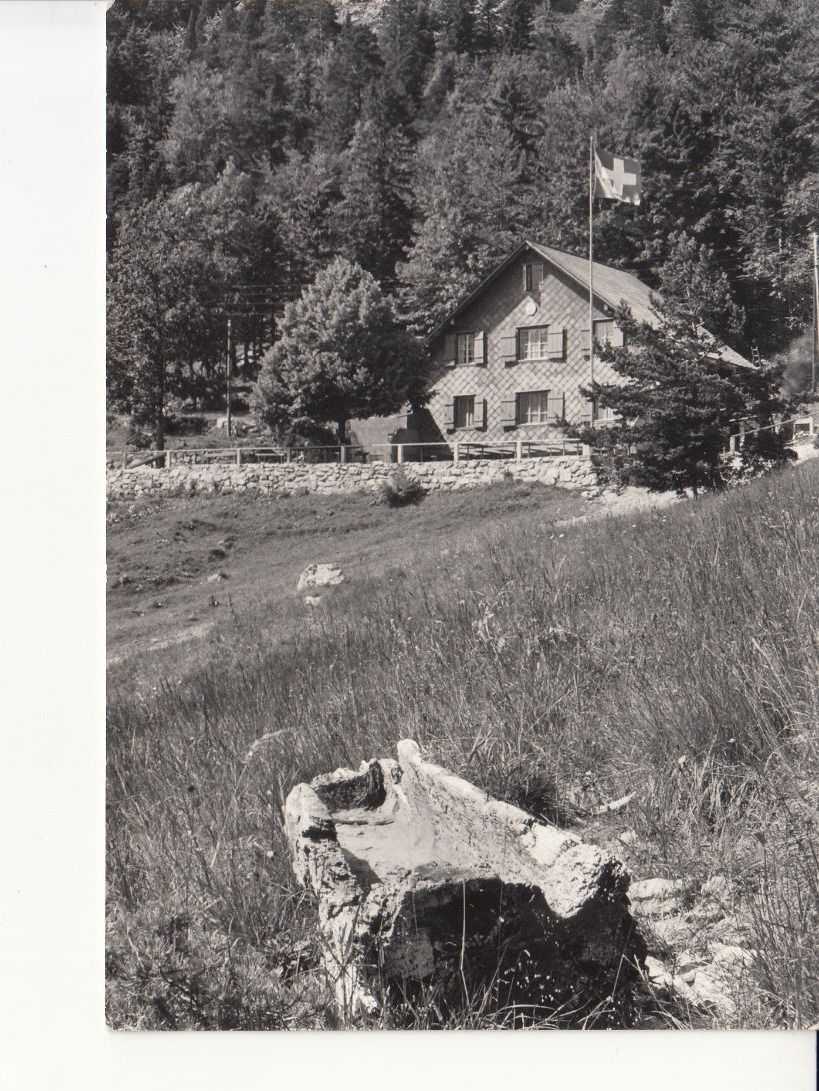 Ansichtskarten: Hasenmatte Schauenburg, ca. 1960 – Gebraucht aus Bürglen TG von StampGraf