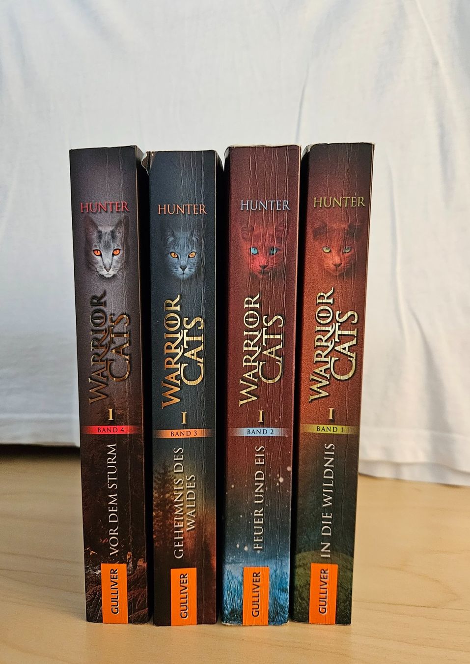 Bücher: Warrior Cats Band 1-4 – Gebraucht aus Bargen SH von  1