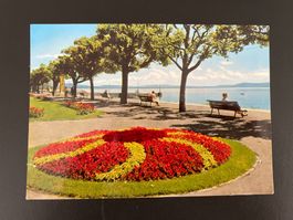 AK Neuchâtel, Quai Osterwald