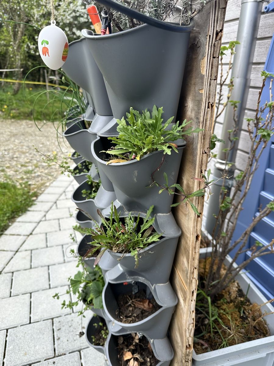 Box contenitori: Vertikaler Garten, Gardena mit Bewässerungssystem! – Usato da Mettendorf TG venduto da Pinova02 3