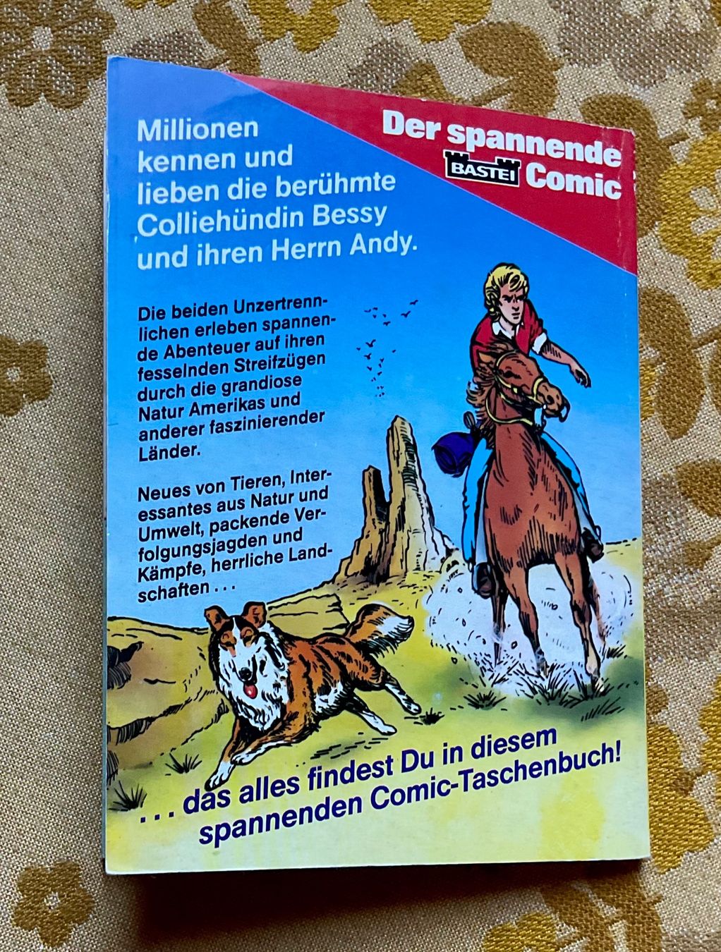 Fumetti: Bessy Taschenbuch Nr 17 – Usato da Endingen venduto da nathan05 9