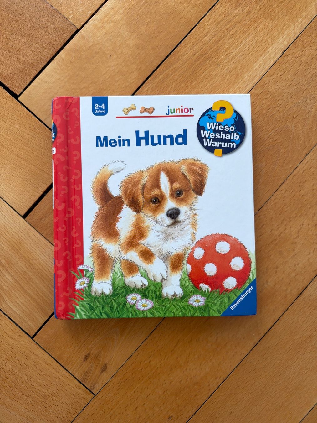 Libri: Www Buch Mein Hund – Usato da Solothurn venduto da Vintage87