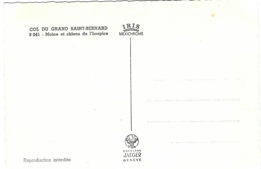 Cartoline postali: AK Grosser St. Bernhard, Hunde, Mönch – Nuovo (secondo la descrizione) da Rheinfelden venduto da wil_m7gh 1