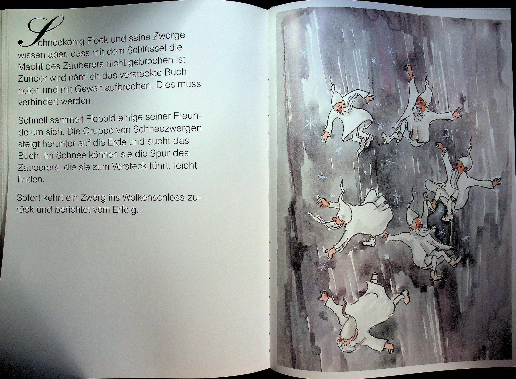 Bücher: Walter Bühler Schneekönig Flock / RAR – Gebraucht aus Reitnau von Zaomir 9