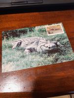 Carte postale originale d'Ouganda avec timbre 🐊🌴☀️ (53)