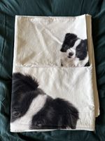 Border Collie Bettwäsche Johann Jakob Pfister neu