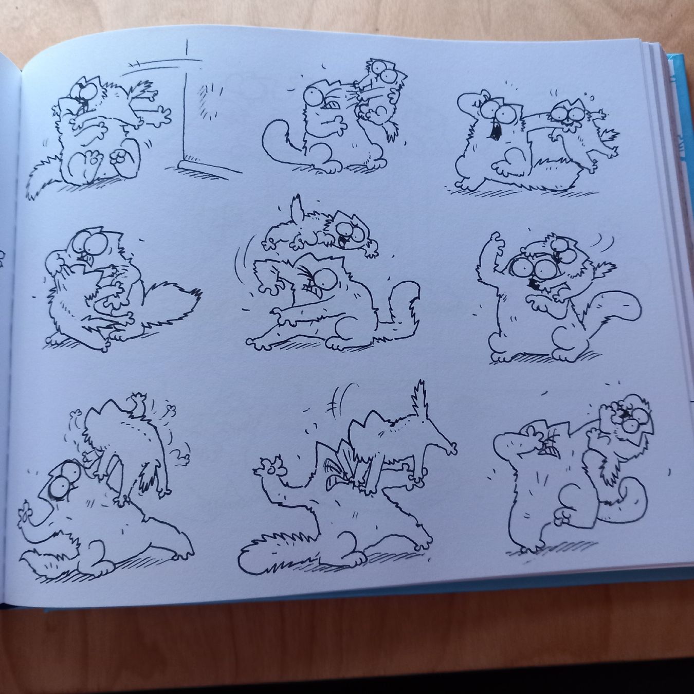 Fumetti: Simon's Cat – Usato da Ebnat-Kappel venduto da blazzi 2