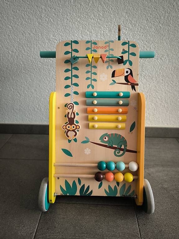 Veicoli per bambini: Janod Tropik Lauflernwagen – Usato da Sulzbach venduto da Dida2985