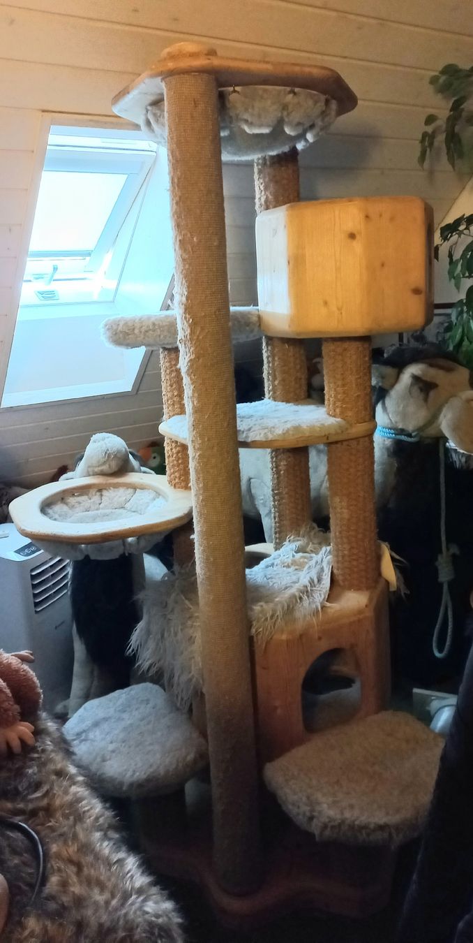 grosser Kratzbaum Brgmann (Gebraucht) in Hendschiken fr CHF 50  nur  Abholung auf Ricardo kaufen