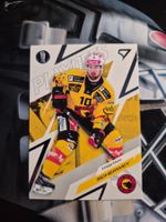 Tristan Scherwey SC Bern Playoffs 2025/26 Sportzoo