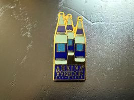 Arkina Yverdon Bier Pin/Anstecker - Sammlerstück!