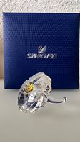  Swarovski SCS Wildblume