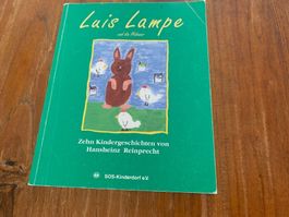 Luis Lampe und die Hühner Buch