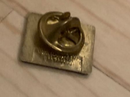 Placchette & Badge: AMWAY-Pin (1) Ansteckpin – Nuovo (secondo la descrizione) da Landquart venduto da interesse63 2