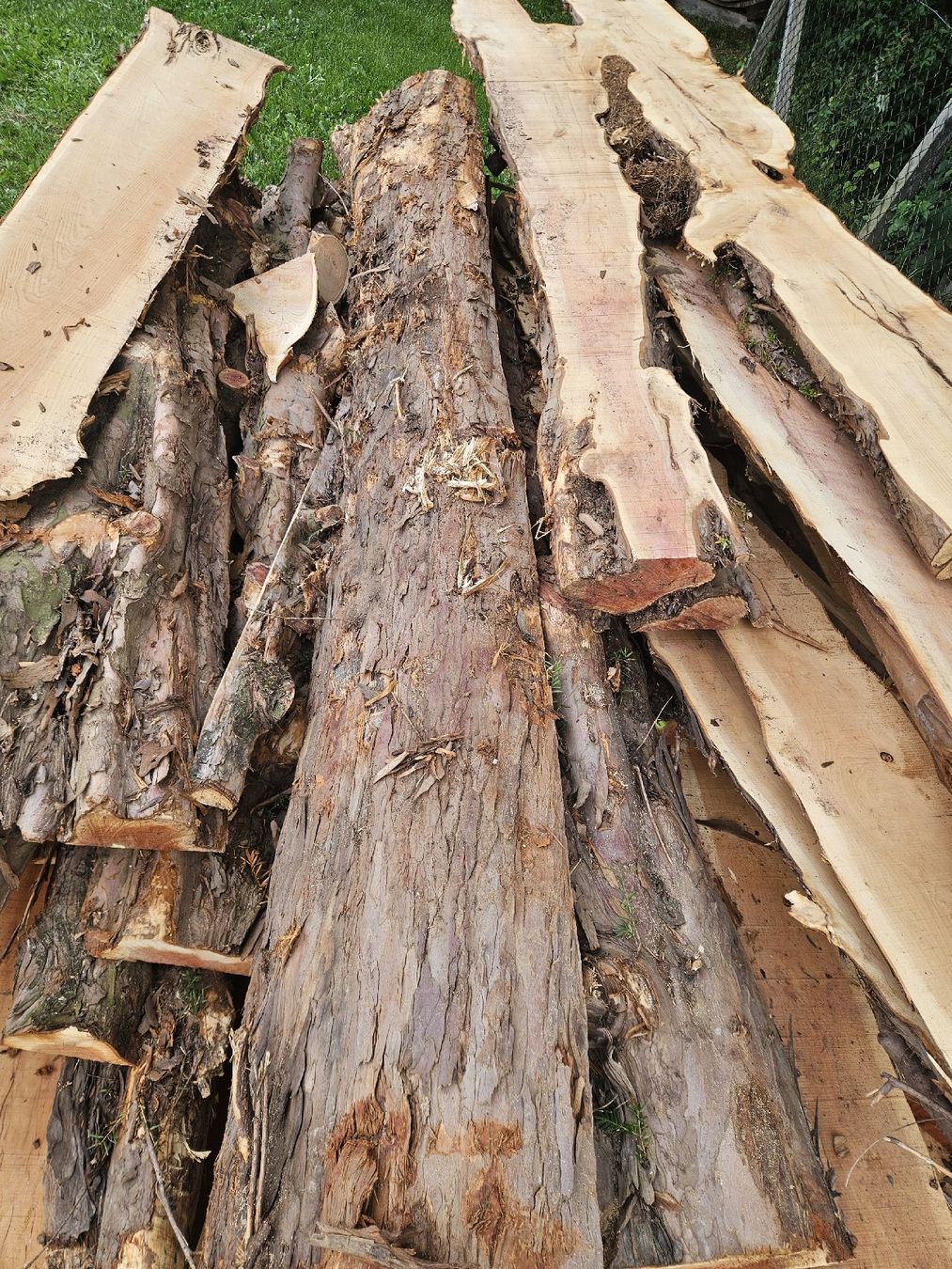 Articoli in legno: Eibenabschnitte  – Nuovo (secondo la descrizione) da Gontenschwil venduto da Studi1958 1
