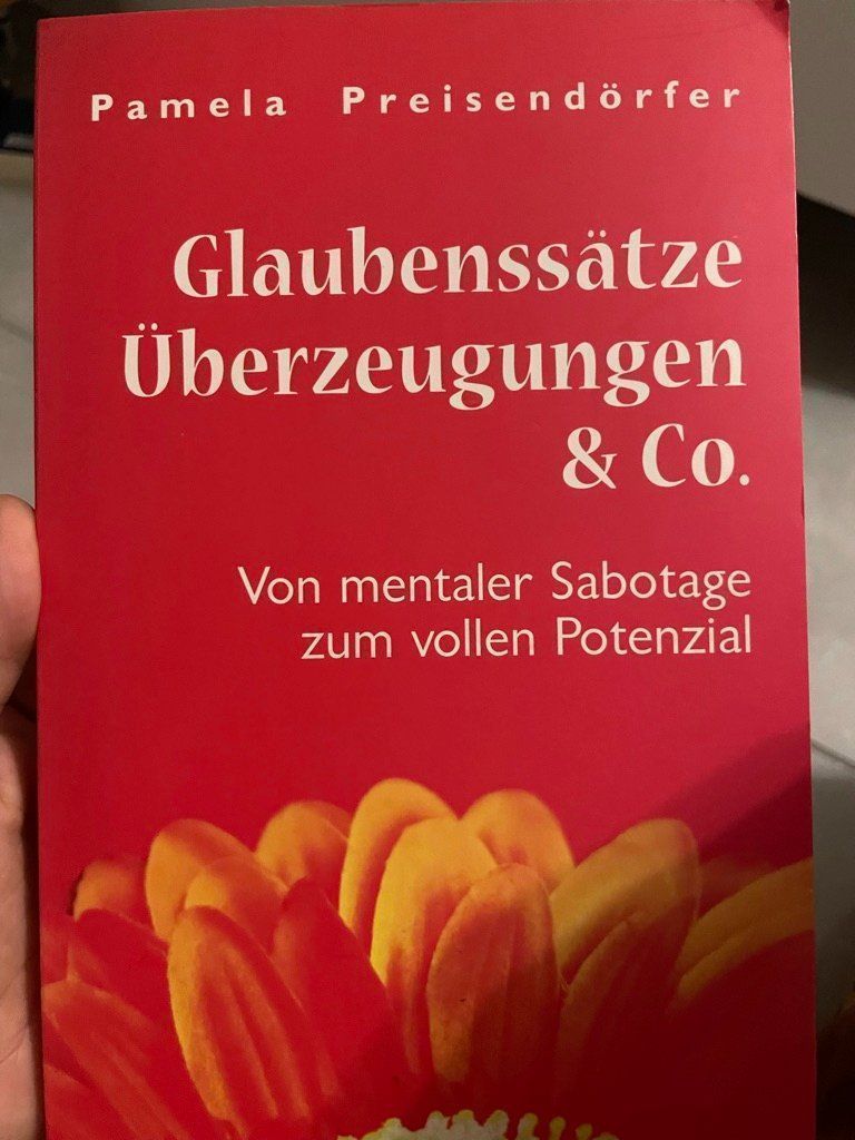 Bücher: Glaubenssätze Überzeugungen & Co – Gebraucht aus Wilen b. Wollerau von LastChance22