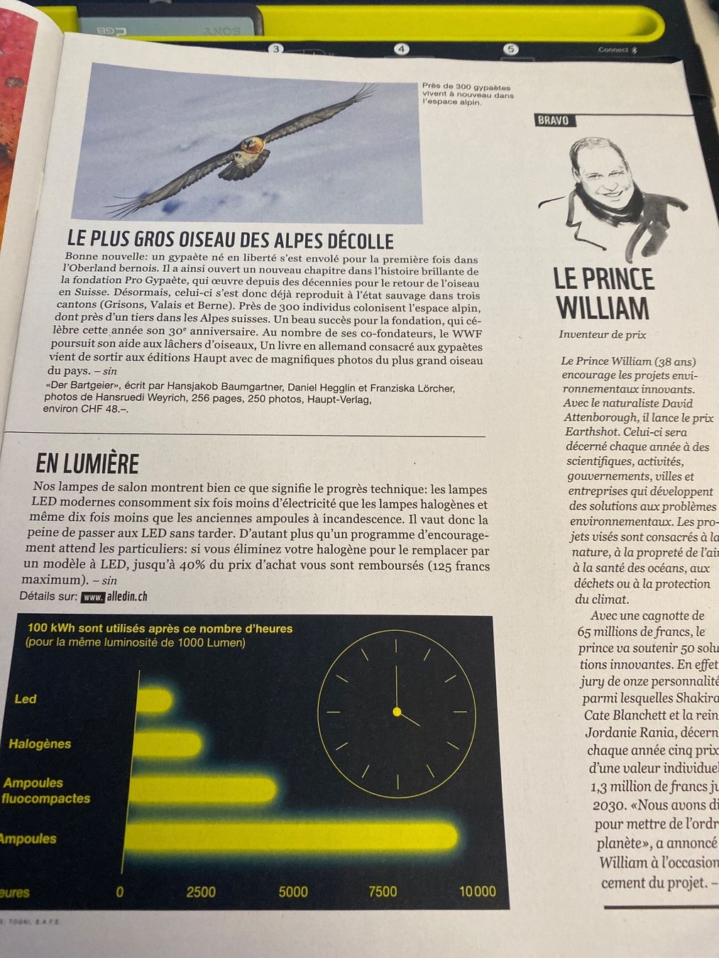 Riviste & Magazine: MAGAZINE WWF - 2021 – Usato da Le Brassus venduto da cinema13 3