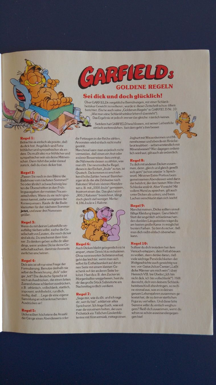 Fumetti: Garfield Comic-Heft Nr. 9, 1978 mit Poster, Topzustand – Usato da Niederscherli venduto da Mon_Art 3