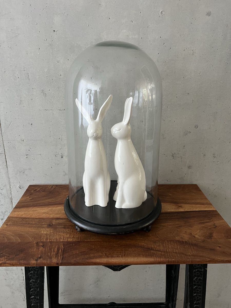 Tutte le decorazioni: Antike sehr grosse Glas Glocke / Glaskuppel – Usato da Wabern venduto da La-Vitrine 4