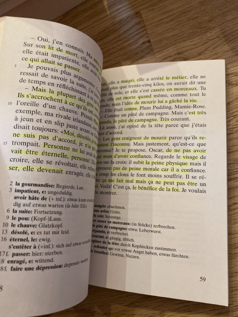 Libri: Oscar et la dame rose - Reclam – Usato da Holderbank SO venduto da amiragerber 2