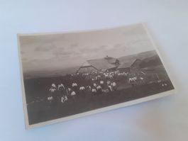 MILITAER - SOLDATE ufem FäLD im BäRNBIET