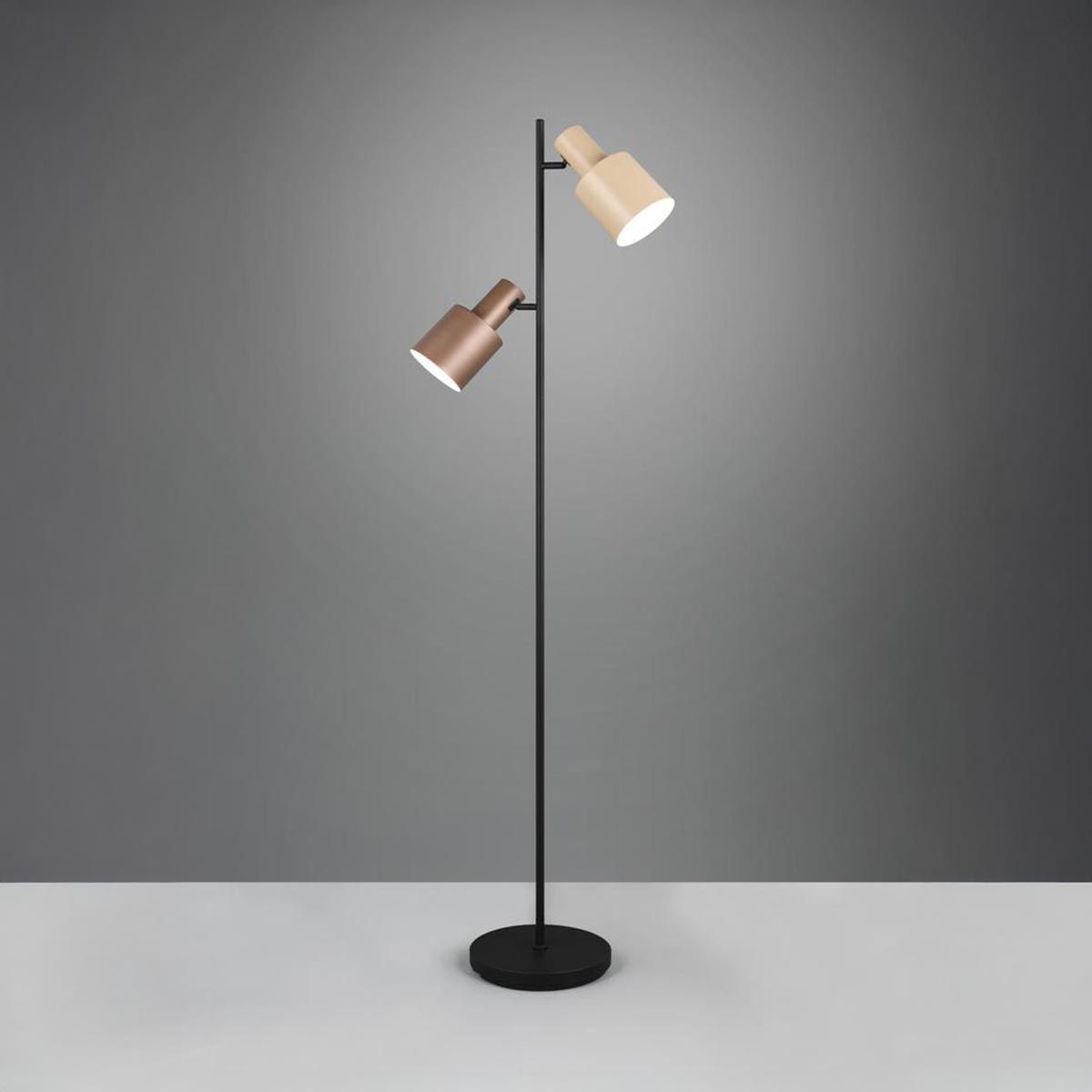 Lampade: Stehleuchte, Braun, 2 Spots, 161 cm Höhe – Nuovo (secondo la descrizione) da Kreuzlingen venduto da Smart-Light 3