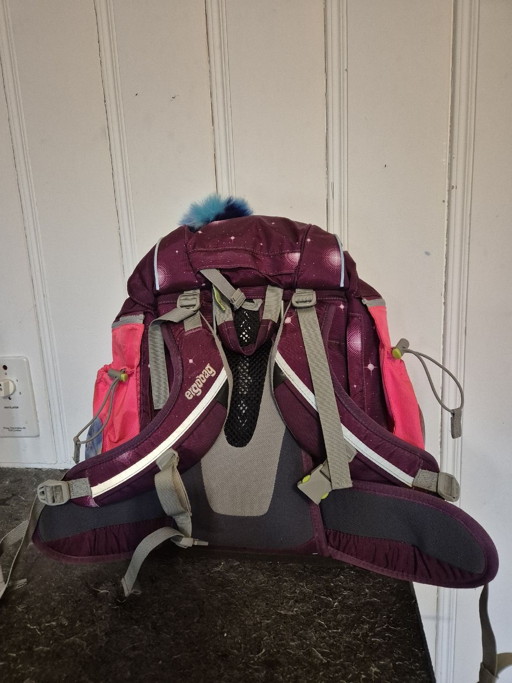 Ergobag Borse & Zaini: Gut erhaltener Ergobag Rucksack – Usato da Thierachern venduto da nat3634 3