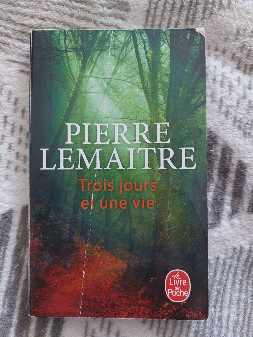 Libri: Trois Jours et une vie - Pierre Lemaitre – Usato da Münchenbuchsee venduto da vbr_jqn9