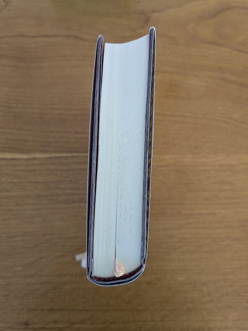 Livres: Nelio Biedermann LAZAR  – D'occasion à Wohlen AG par merkur0300 4