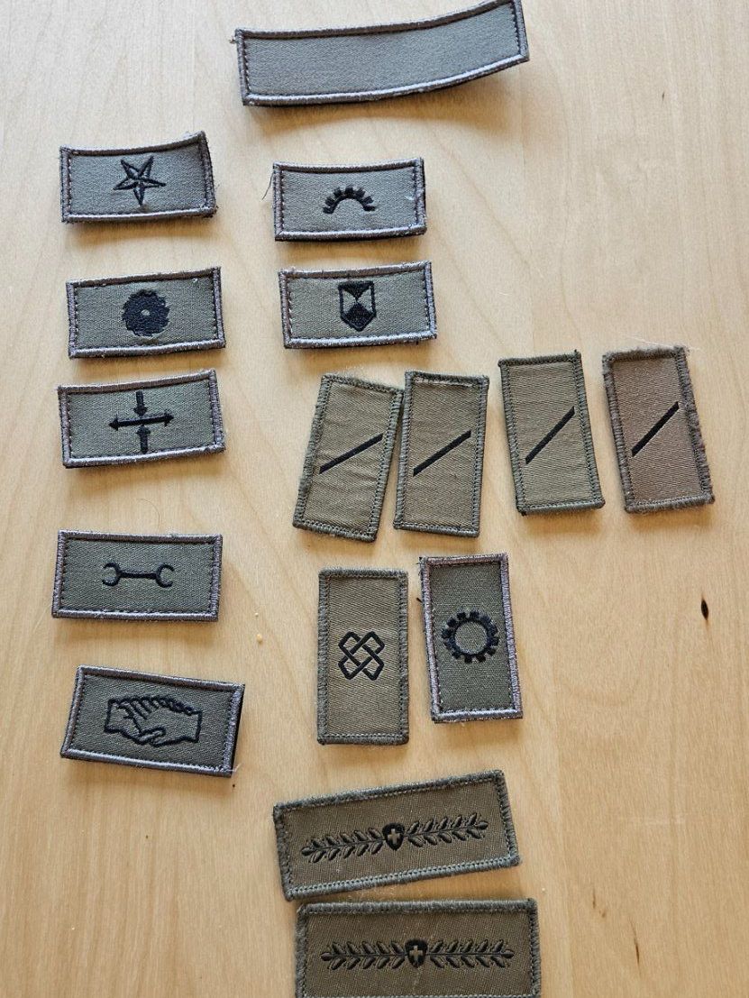 Schweizer Armee Placchette & Badge: Abzeichen für TAZ 90 – Usato da Lenk im Simmental venduto da oli66661