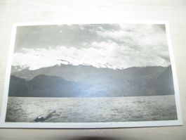 AK Vitznau 7. Juli 1931 - Ansichtskarte Postkarte