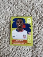 Panini FIFA 2023 Sticker: Timothy Weah USA12