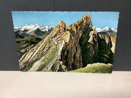 Pilatus Tomlishorn
