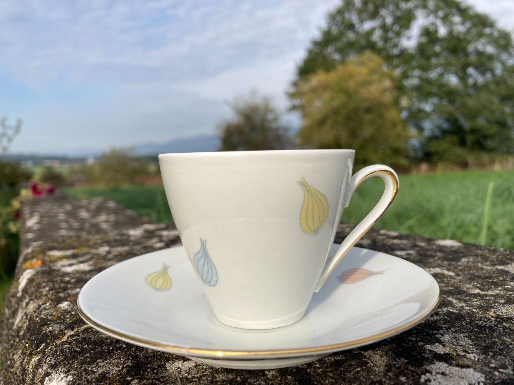Tazze: Vintage  Espressotasse  Moccatasse – Usato da Subingen venduto da ArtBead 2