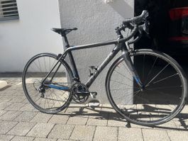 Stevens Vantage Rennrad Grösse 52