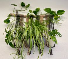 🌿 Makramee Wandbehang – Handgefertigte Boho-Deko🌿