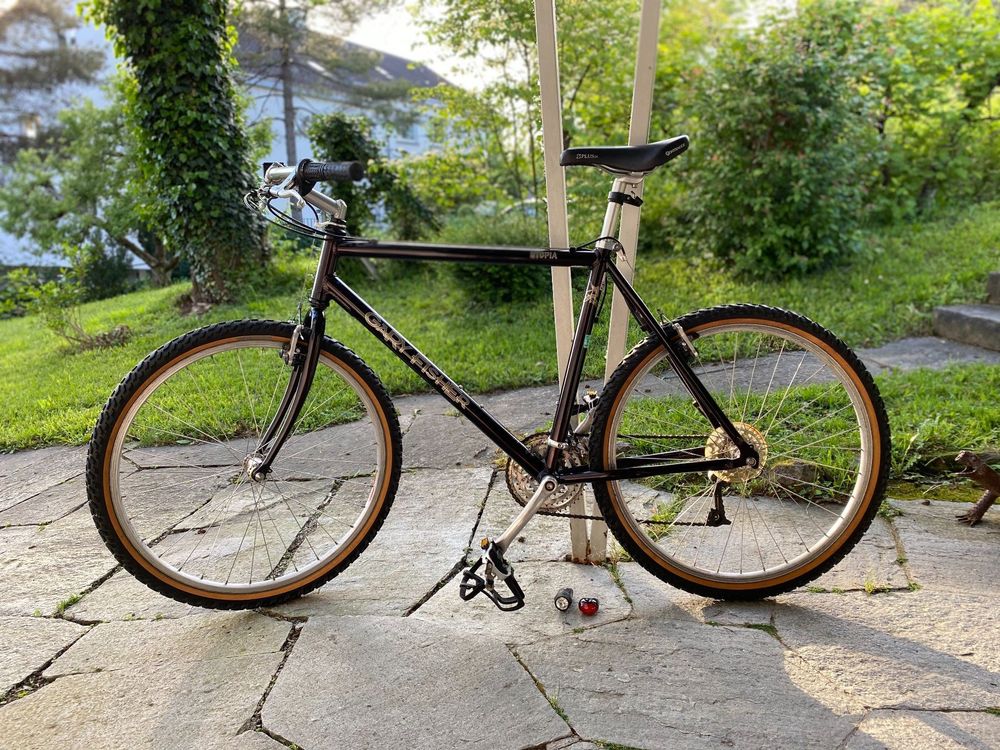 Gary fisher best sale utopia bike