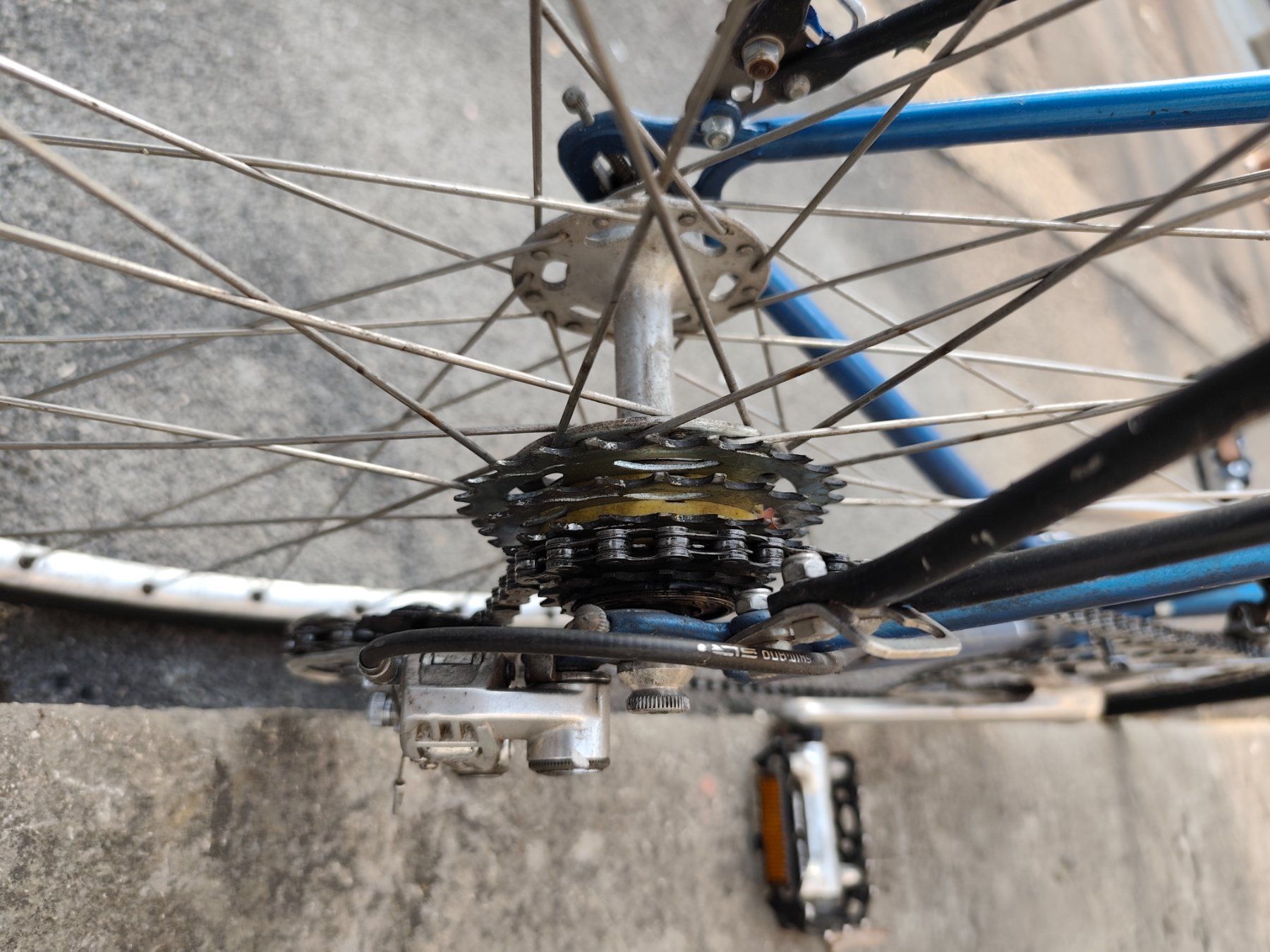 Cilo Biciclette: Cilo procycle, révisé – Usato da Delémont venduto da antioque 3